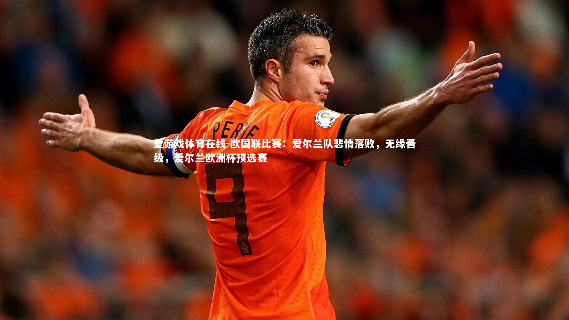 爱游戏体育在线-欧国联比赛：爱尔兰队悲情落败，无缘晋级，爱尔兰欧洲杯预选赛