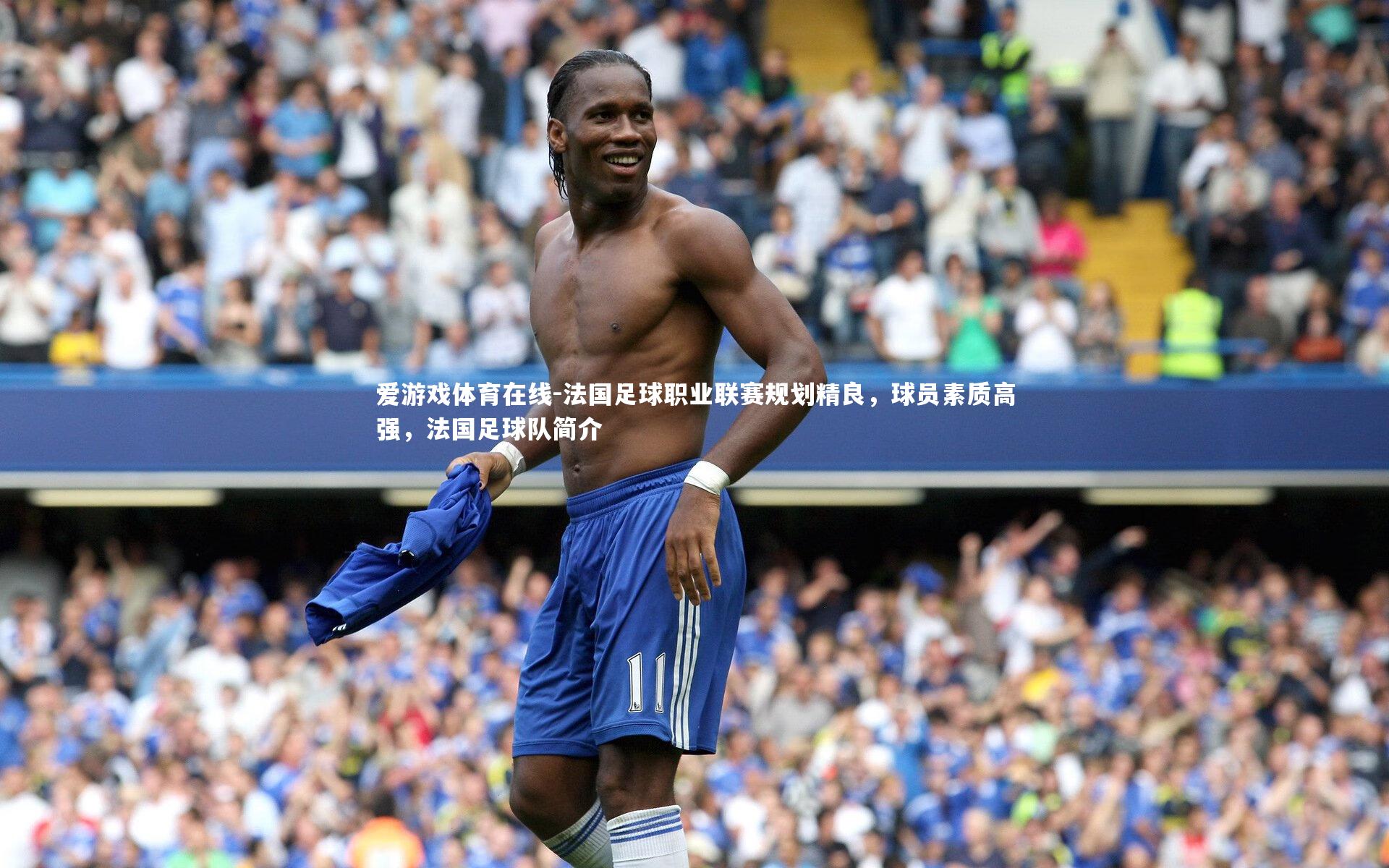 法国足球职业联赛规划精良,球员素质高强,法国足球队简介